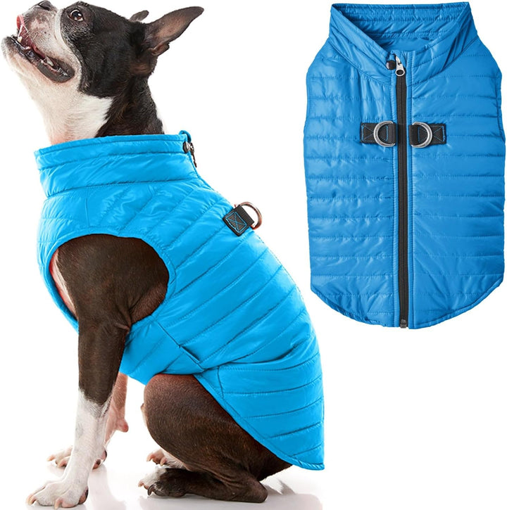 Boys Classic Puffer Dog Vest, Turquoise, Large Chest 20.75 US