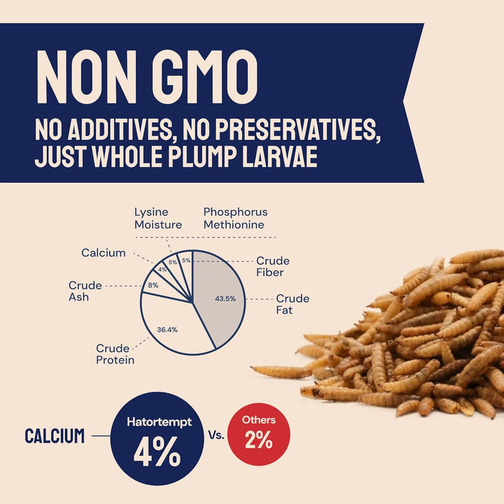 Chicken Feed & Treats - 10 Lb Non-Gmo Bulk Larvae & Grubs - High-Protein Food for Laying Hens & Poultry - Grubs & Worms for Chickens & Bluebird Food - Calcium-Rich Supplement