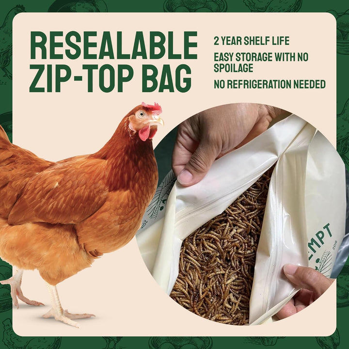 Chicken Feed Dried Mealworms - 5 Lb, Non-Gmo & Organic - High-Protein Mealworms for Wild Birds & Ducks, Chicken Treats & Bird Food