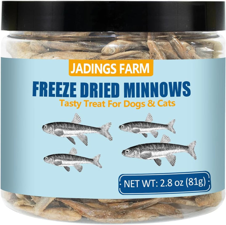 Minnows - 8.5 Oz Freeze Dried Minnows for Cats & Dogs - 100% Natural Premium Cat & Dog Treat (8.5 OZ)