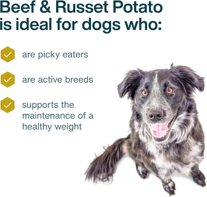 Frozen Fresh Dog Food, Complete Meal or Topper, Beef & Russet Potato Human Grade Recipe, 18 Oz (Pack of 7)