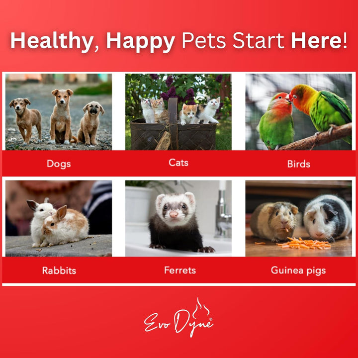 Styptic Powder for Dogs, Cats, and Birds (2 Oz) by  | Fast-Acting Blood Stop for Pets | Quick Stop Bleeding Powder for Dog Nail Clipping, Grooming, Cuts and More (1-Pack)