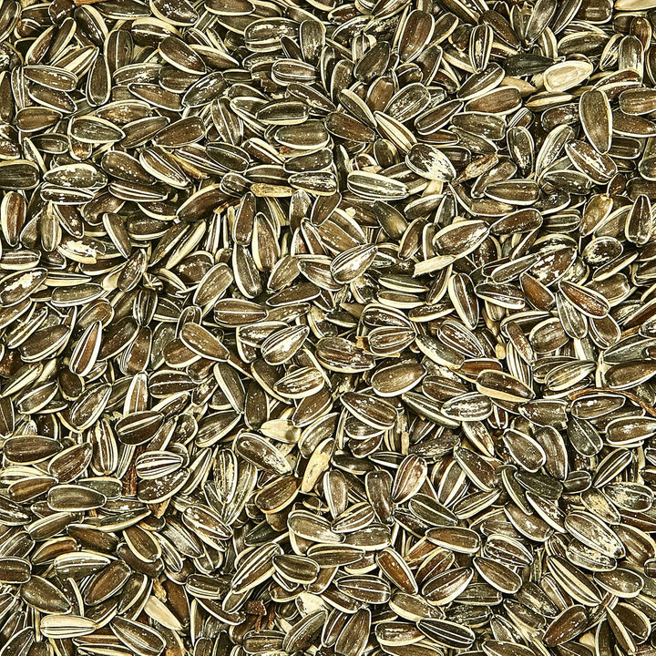 Striped Sunflower Seeds for Blue Jays, Woodpeckers, Finches & Other Wild Birds, 5 Pounds