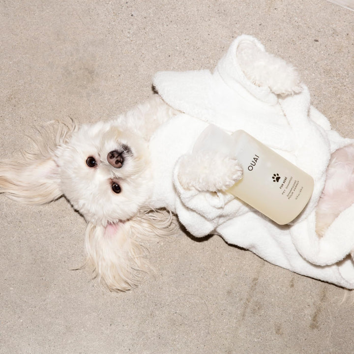 Fur Bébé Pet Shampoo, Mercer Street Scent - Dog Shampoo and Coat Wash for Hydrating, Cleansing and Adding Shine - Pet Supplies by  (16 Fl Oz)