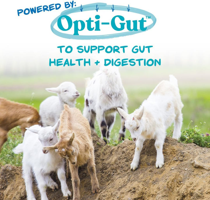 Nurse All® Multi-Species Milk Replacer - Powered by Opti-Gut™ to Support Gut Health & Digestion - All-Milk Protein - Easy-To-Mix Formula - 8 Pounds