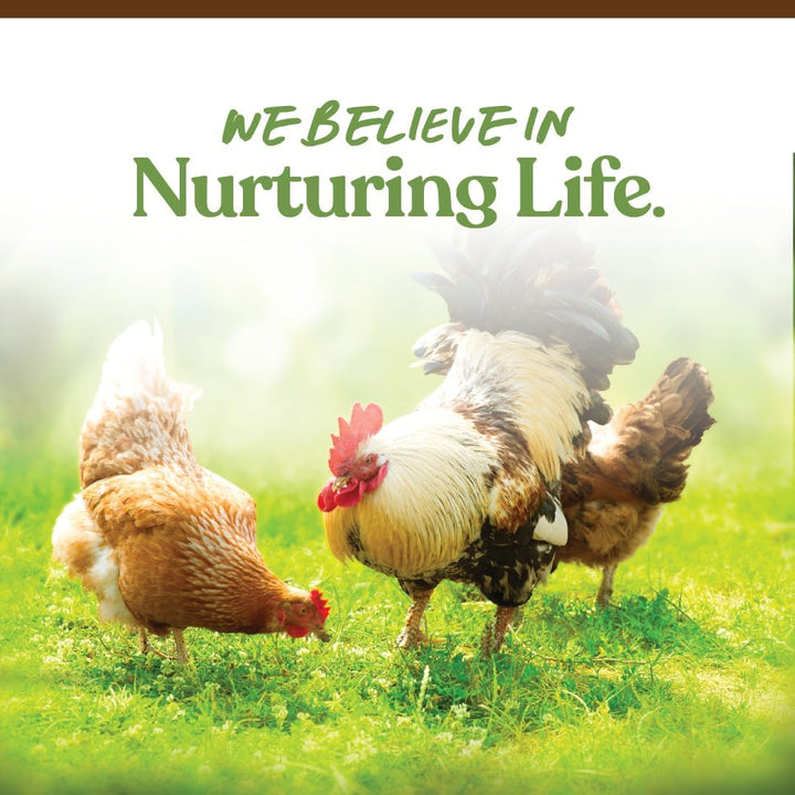 Garden Delight Chicken Treat, Dried Vegetable & Herb Treat Mix for Chickens, Ducks, and Poultry, Natural Coop Enrichment Snack for Hens and Backyard Birds, Made in USA, 2.25 Lb Bag