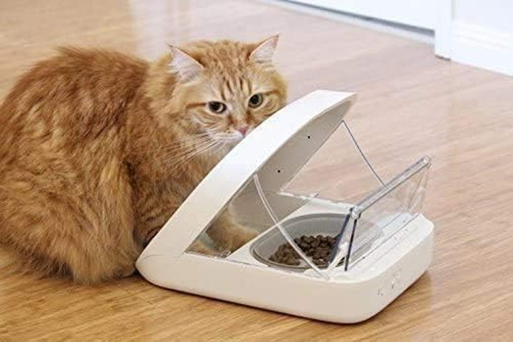 Compatible with Sureflap Surefeed Microchip RFID Collar Tags Disc Key Replacement (Pack of 2)