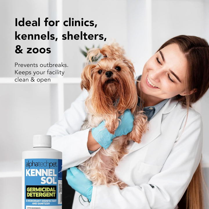 Kennelsol 1-Step Kennel Cleaner - 1 Pint Liquid Disinfectant, Effective against Bacteria and Viruses, Deodorizer Wintergreen Scent by Alpha Tech Pet