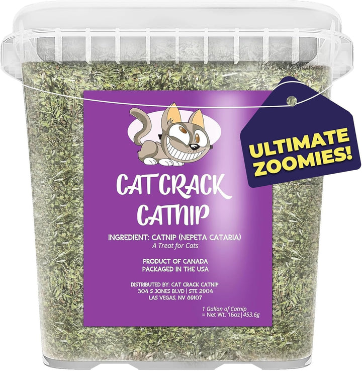 Catnip, Zoomie-Inducing Cat Nip Blend, North American Made & 100% Natural, Safe & Non-Addictive Catnip Treats Used to Supplement Cat Nip Toys, Spray, & Accessories (1 Cup)