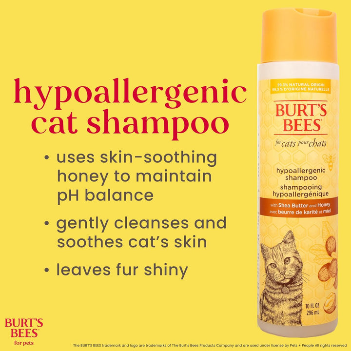 Hypoallergenic Cat Shampoo with Shea Butter and Honey - a Gentle Kitten Shampoo for Indoor Cats with Dry & Itchy Skin, Sensitive Skin, Cat Bathing Supplies, 10 Fl Oz
