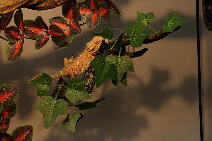 Reptile Corner Branch Terrarium Plant Decoration with Suction Cup for Amphibian Lizard Snake Climbing