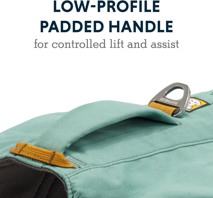 , Front Range Dog Day Pack, Backpack with Handle for Hikes & Day Trips, River Rock Green, Medium