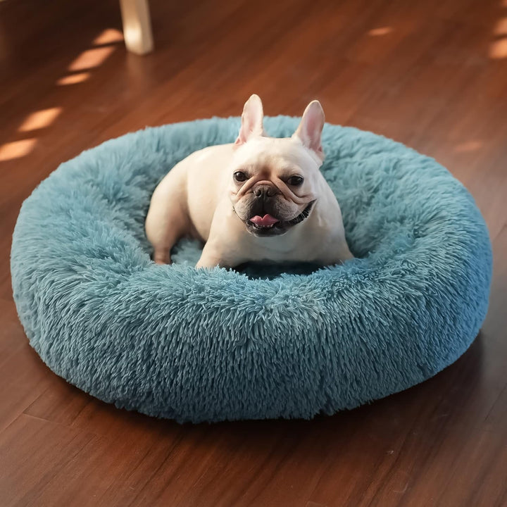 Small Calming Dogs Bed for Small Dogs Anti-Anxiety Machine Washable Fluffy Luxury Anti-Slip Waterproof Mute Base Warming Cozy Soft Pet Puppy round Bed