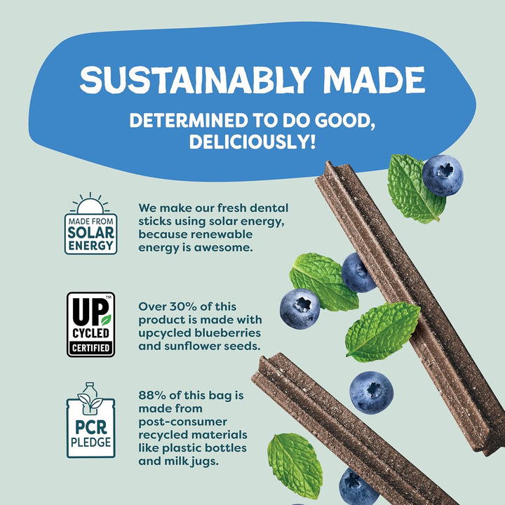 Dental Treats for Dogs, the Tooth Berry - Healthy Dental Sticks with Immune Support for Teeth Cleaning & Fresh Breath - Free from Grain, Corn & Soy