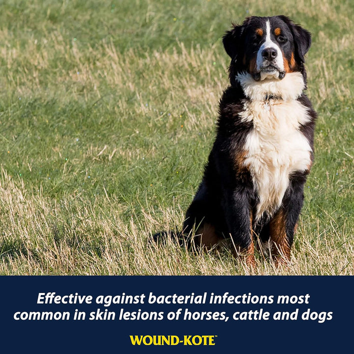 Wound-Kote Blue Lotion Spray Horse Wound Care for Use on Horses and Dogs, Antiseptic Properties, for Minor Wounds, Cuts and Sores, 7 Oz.