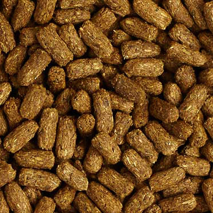 Low Starch Tortoise Diet, for African Spurred/Sulcata, Desert, Egyptian, Galapagos, Gopher, Greek, Leopard, Pancake, Radiated or Yellow-Footed Tortoise, 12 Oz