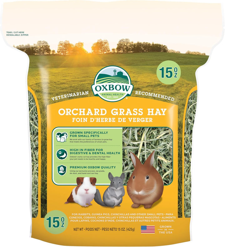 Orchard Grass Hay for Small Pets – All-Natural Long Strand Fiber Hay for Rabbits, Guinea Pigs, Chinchillas, and Hamsters – Supports Digestive Health and Enrichment – 40 Oz Bag