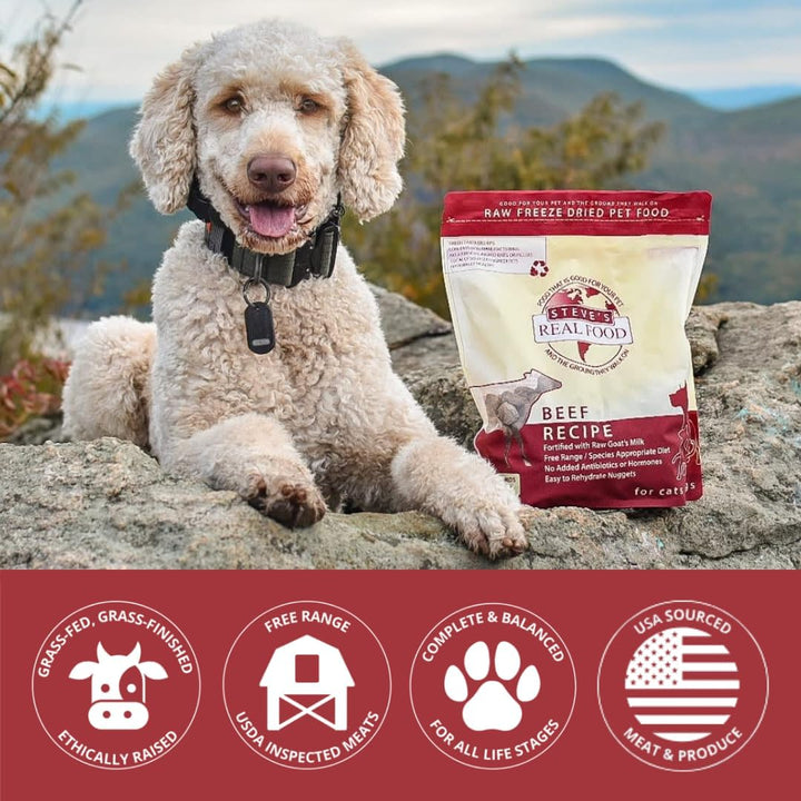 Freeze-Dried Raw Nuggets - Beef Recipe - Raw Pet Food for Dogs and Cats - 20 Oz
