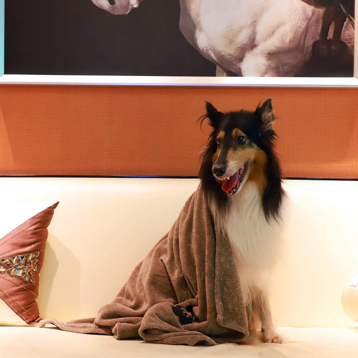 Dog Towels for Drying Dogs - Pack of 2 - Super Absorbent Soft Microfiber Pet Bath Grooming Towel for Dogs Cats and Other Pets (M-36" * 28", Grey and Brown )