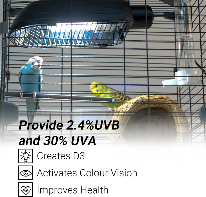Bird Cage Light Fixture Combo Kit, Aviansun Lamp Hood with 2.4% UVB UVA 20W Compact Fluorescent Bulb for All Kinds Captive Birds