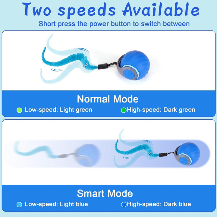 Interactive Cat Toy Ball - Automatic Interactive Cat Toys for Indoor Cats with 3 Tails, 2 Speeds Rechargeable Cat Enrichment Toys for Small/Medium/Large Cats to Keep Them Busy(Blue)