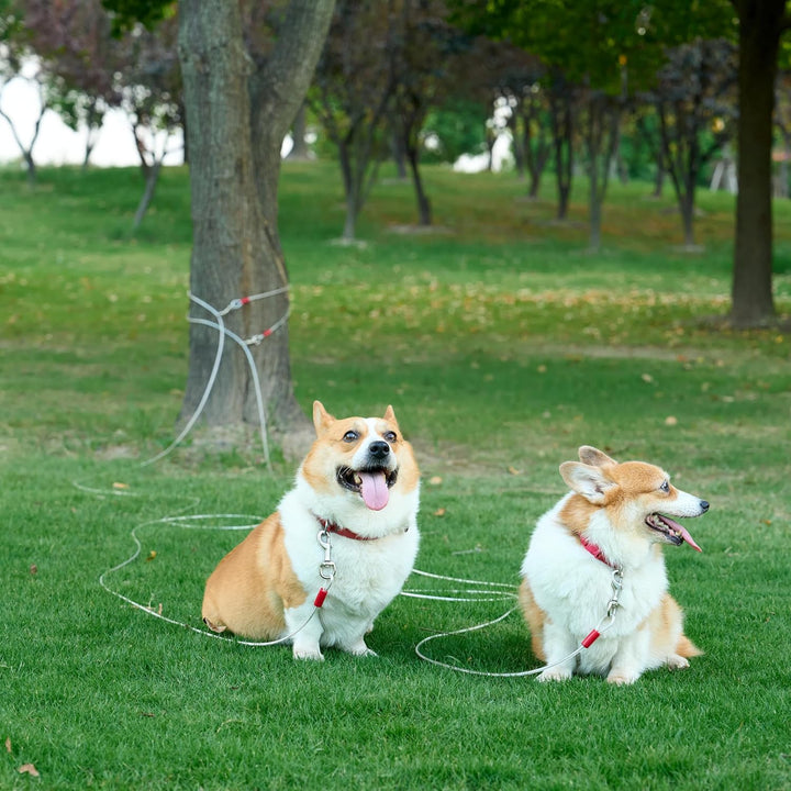 Tie-Out Cable for Dogs up to 90 Lbs, 25 Feet, White