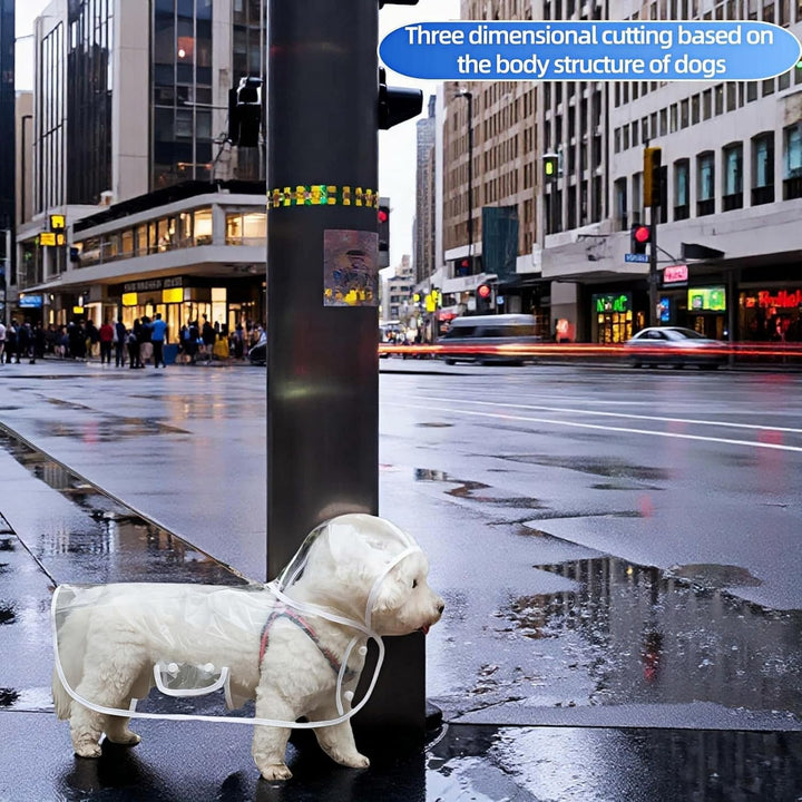 Clear Dog Rain Poncho for Small Medium Dogs,Heavy Waterproof Raincoat with Hidden Leash Hole&Adjustable Snaps,Pet Hooded Cape for Bichon Poodle (4-8Lbs) (Transparent, Medium)