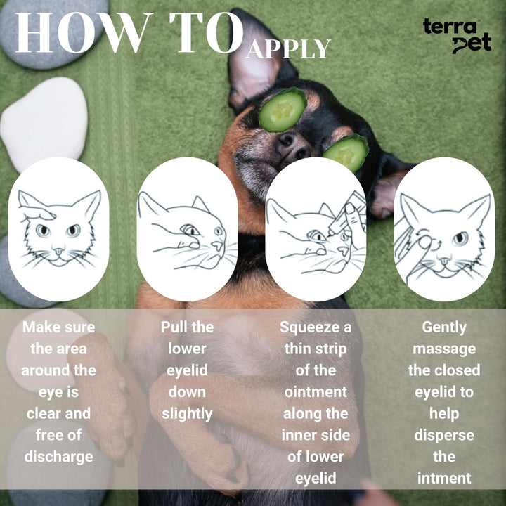 Pet Eye Cream Health for Dogs, Cats, Cattle, Sheep, Horse, Bird 1/8 Oz /5Gr, 1 Tube