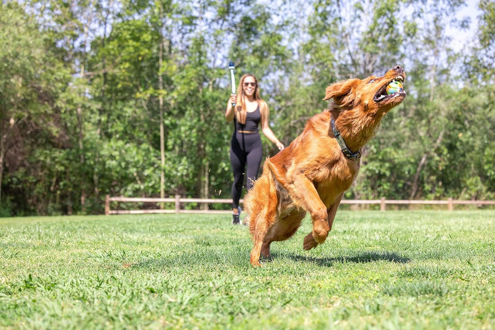 Ecofetch Dog Ball Launcher - Medium (2.5") Dog Fetch Portable Sports Ball Thrower for Dogs 20-60 Pounds