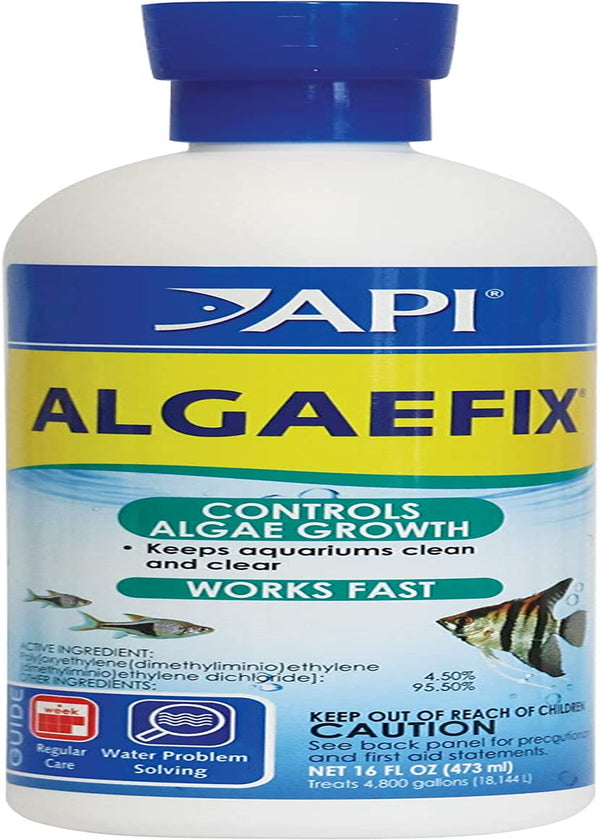 ALGAEFIX Algae Control 16-Ounce Bottle