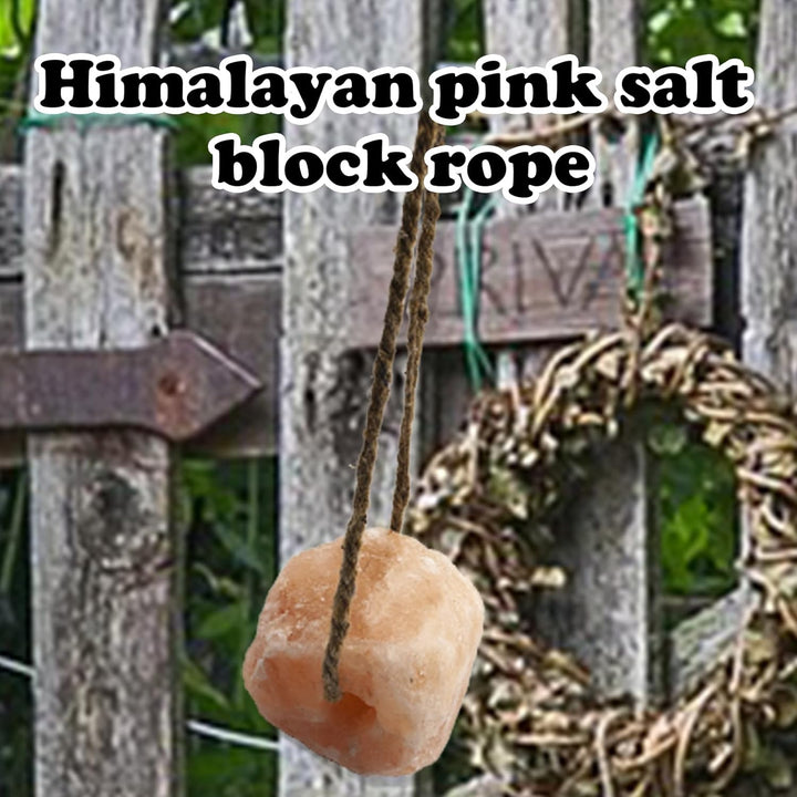 Himalayan Salt Lick Natural Minerals Block on Rope for Horses,Cattles,Deer,Goat and Other Livestock Long Lasting Original Pink Salt Lick (2.4-3.3 Lbs)