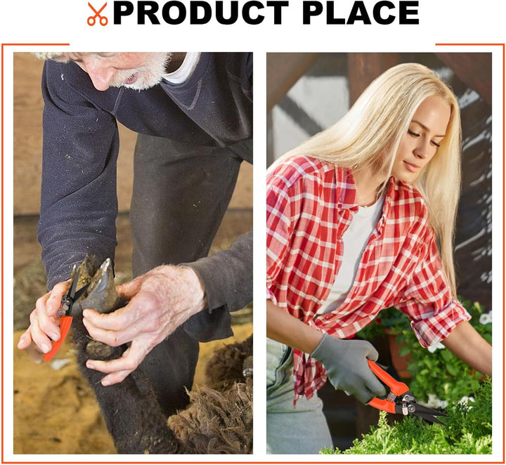 Professional Sheep Hoof Trimmer Scissors, Versatile Sheep Hoof Trimmer for Sheep, Goats and Alpacas with Non-Slip Handles for Safe and Precise Hoof Trimming (8 Inch)