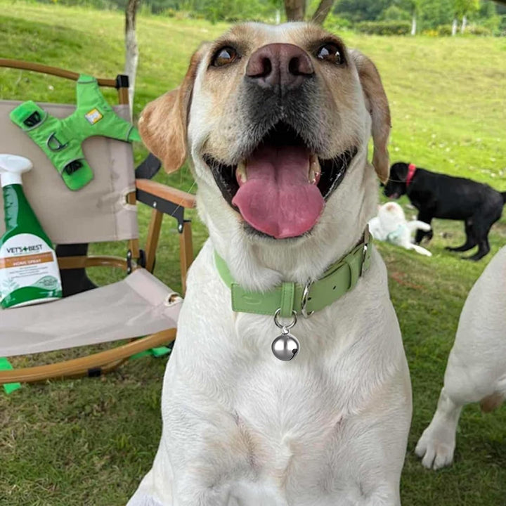 3 Pack Pet Bells for Dog Cat Collar Charm Pet Pendant Accessories Stainless Steel Anti-Lost Training Bells for Collars Pet Pendant Accessories 1/2-Inch Silver