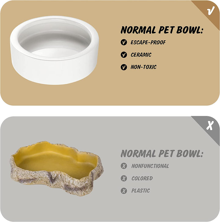 Reptile Food Dish Bowl, Worm Water Dish Small (2.75In) Lizard Gecko Ceramic Pet Bowl, Mealworms Bowls for Leopard Bearded Dragon Chameleon Hermit Crab Dubia Cricket Anti-Escape Superworm Feeder 2 Pack