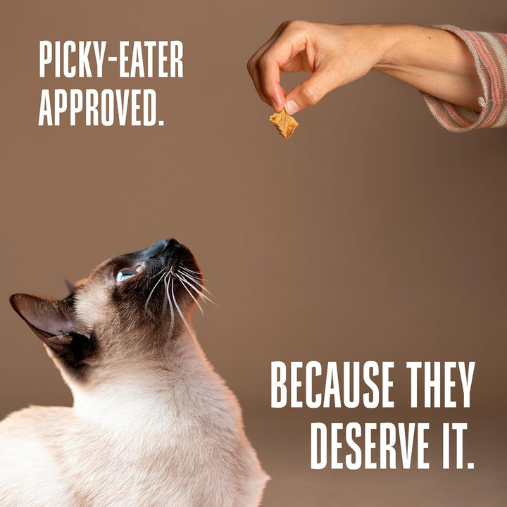 Whole Life Cat Just One Salmon Freeze Dried Cat Treats - Human Grade High Protein Food, Healthy Training Snacks, Freeze Dried Salmon Food Toppers, USA Made Natural Treats - 2.5 Oz (Pack of 1)