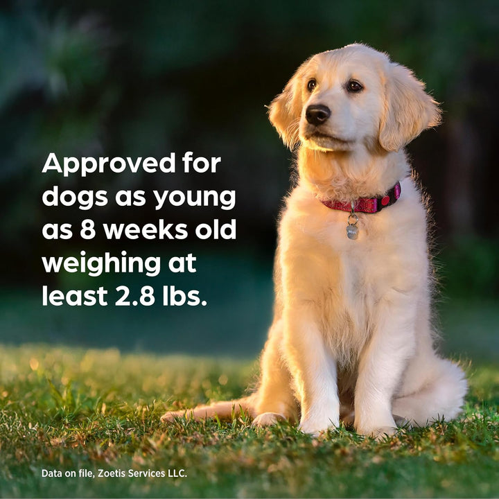 (Sarolaner, Moxidectin, and Pyrantel Chewable Tablets) Chewables for Dogs, 48 Mg/Tab, 44.1-88 Lbs, (Green), 6 Tablets