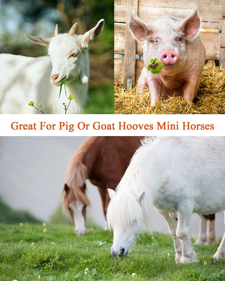 8 Inch Farrier Tool Kits （7 Piece） Mini Rasp Hoof File Goat Pig Equine Metal Shears Professional Farriers Hoof Nipper Cutter Handle Knife