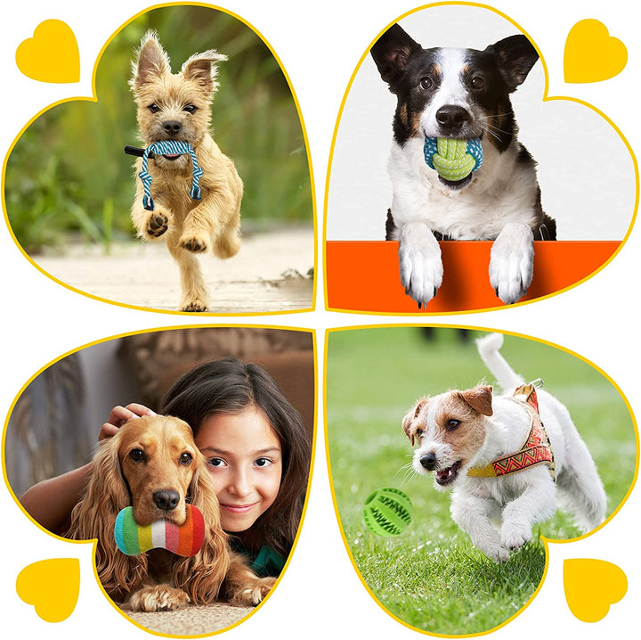 25 Pack Luxury Dog Chew Toys for Puppy, Dog Toys with Ropes, Treat Ball and Squeaky Puppy Toys for Teething Small Dogs