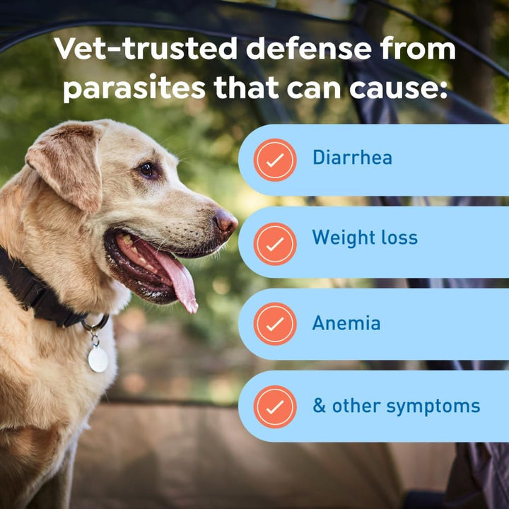 plus Prevention for Heartworm + 4 Other Worms for Dogs 50.1-100 Lbs. | 6 Chews, 6-Month Supply