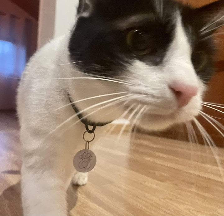 Compatible with Sureflap Surefeed Microchip RFID Collar Tags Disc Key Replacement (Pack of 2)