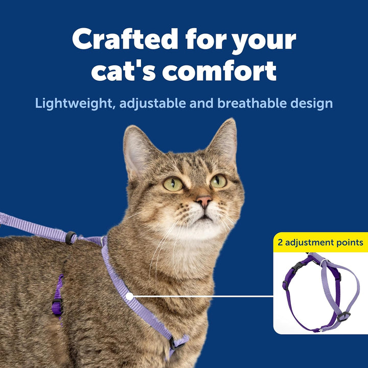 Come with Me Kitty Cat Harness & Bungee Leash - Comfortable No-Choke Harness with Lightweight Bungee Leash for Outdoor Fun - Escape Free Pulling Prevention - Medium - Lilac
