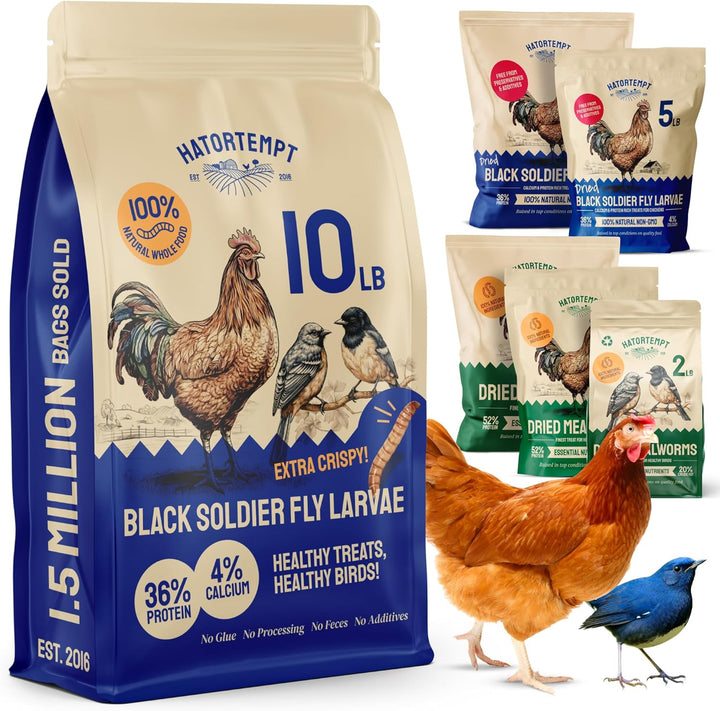 Chicken Feed & Treats - 10 Lb Non-Gmo Bulk Larvae & Grubs - High-Protein Food for Laying Hens & Poultry - Grubs & Worms for Chickens & Bluebird Food - Calcium-Rich Supplement