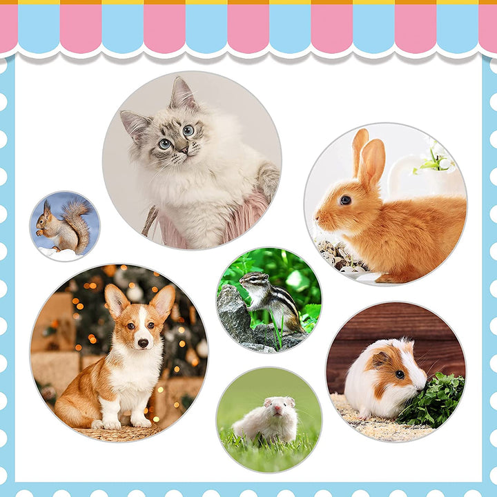 Rabbit Grooming Kit, Rabbit Brush for Shedding with Bunny Nail Clipper, Rabbit Nail Trimmers with Pet Combs for Hamster Guinea Pig Ferret by (6 Pack)