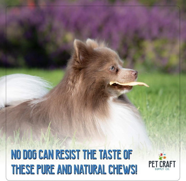 Grass Fed Water Buffalo Ear 16 Count (Pack of 1) Pig Ears for Dogs Alternative Free Range Long Lasting Dog Chew and Treat for Aggressive Chewers and Puppies