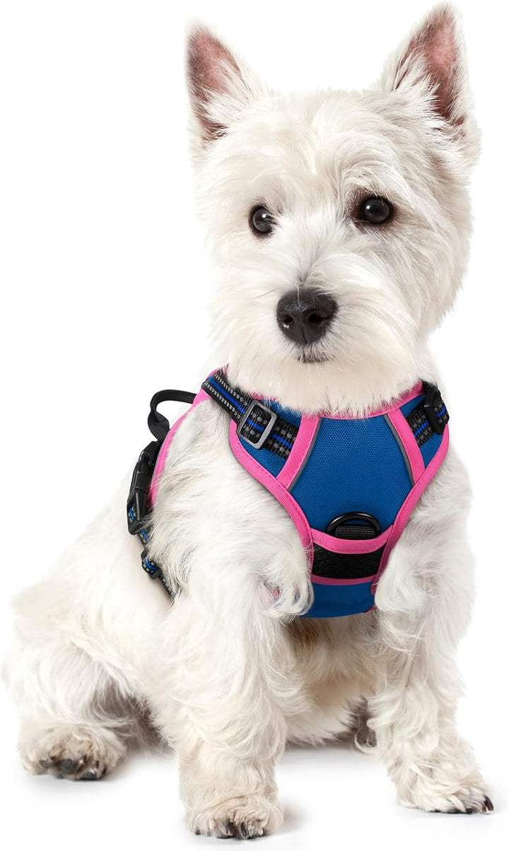 Dog Harness No Pull with 2 Leash Clips, Adjustable Soft Padded, Reflective Oxford No Choke Pet Vest with Easy Control Handle for Large Dogs, Black, L