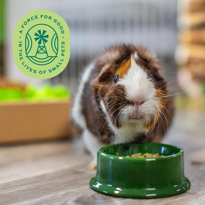 Essentials Guinea Pig Food, Adult Guinea Pig, Made with  Timothy Hay, Pet Food Pellets with Vitamin C, Small Animal Pet Products, Made in USA, High Fiber, 5 Lb. Bag