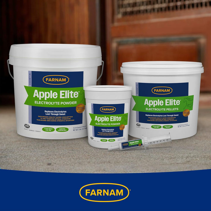 Apple Elite Electrolyte Powder Supplement for Horses, Replaces Vital Minerals, Encourages Hydration, No Added Sugar, 5 Pounds