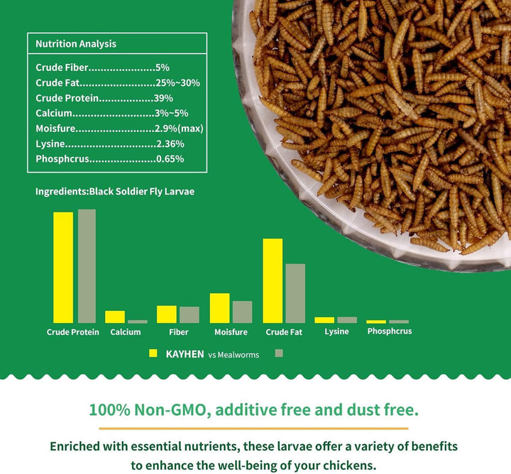 Dried Black Soldier Fly Larvae 10LB Non-Gmo BSF Larvae for Chickens More Calcium than Mealworms High-Protein Chickens Treats for Layer Hens Wild Birds Ducks