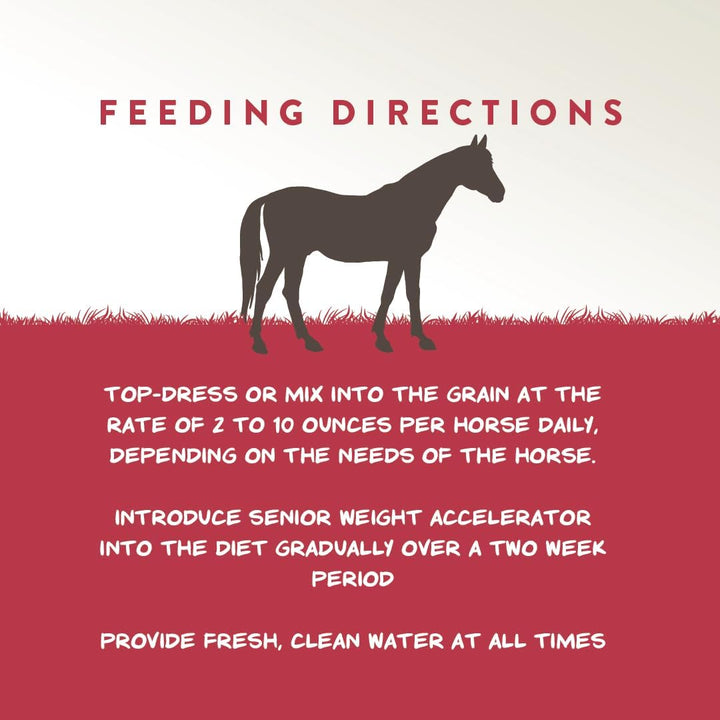 Weight Accelerator for Senior Horses – Weight Gain and Muscle Support Supplement with Omega 3 Fatty Acids and Flaxseed – High-Calorie Feed Topper for Horses – 8 Lb Bag