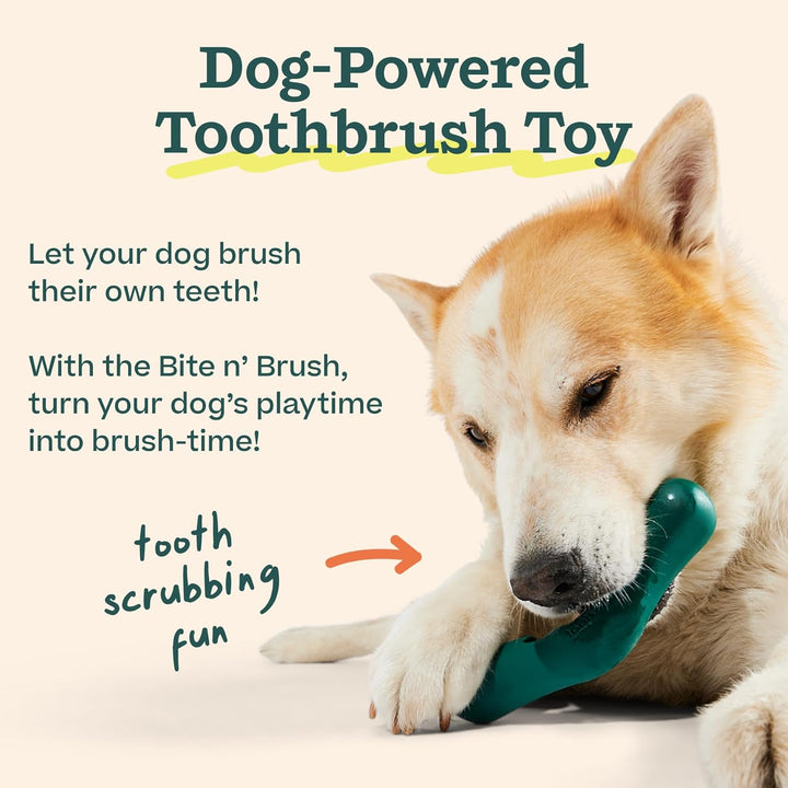 - Bite N' Brush Refills for the Dog Toothbrush Toy - Scrub Plaque and Tartar from Your Dog'S Teeth and Mouth - Dog Dental Chew Toy Treats - Approximately 16 Refills